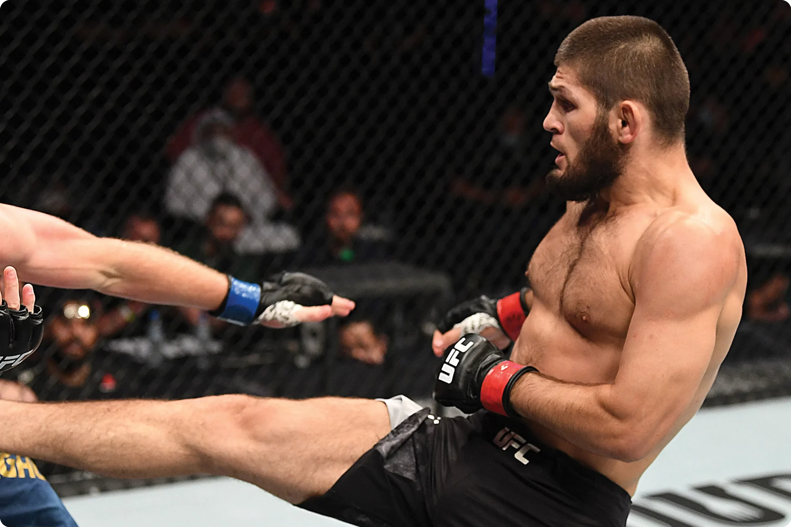 Plans for Expanding His Legacy Beyond MMA