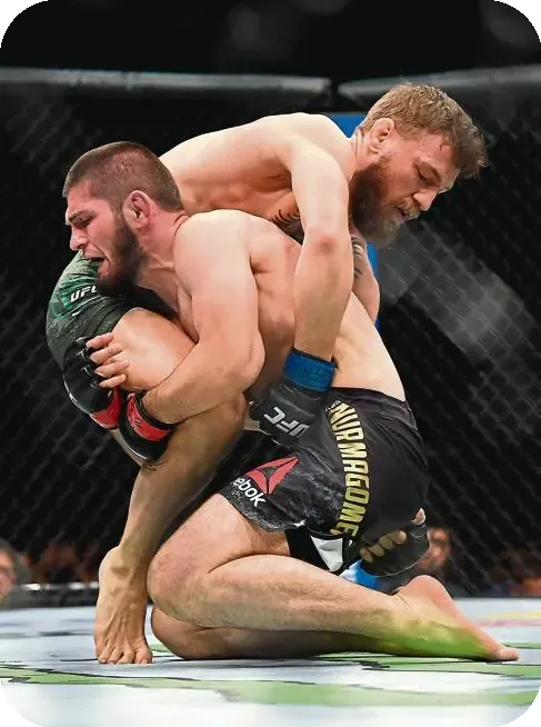 Victory Over Conor McGregor (2018)